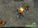 Metin-2-boars