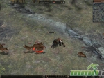 Metin-2-dead