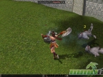 Metin-2-fan-attack