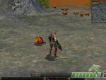 Metin-2-free-to-play