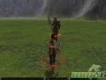 Metin-2-grass