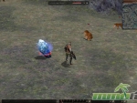 Metin-2-health