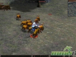 Metin-2-hog-assault
