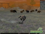 Metin-2-korean-game