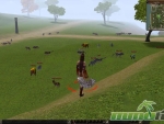 Metin-2-map