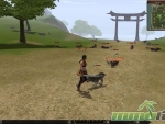 Metin-2-minimap