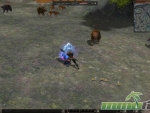 Metin-2-private-servers