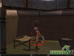 Metin-2-tent