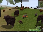 Metin-2-too-many-animals