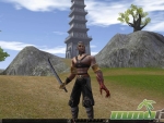 Metin-2-tower