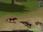 Metin-2-wolf-death