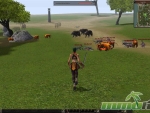 Metin-2-zoo