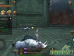 mia-online-boar-dungeon