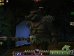 moonlight-online-bear-pig