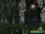 Mortal-Online-environment