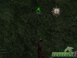 Mortal-Online-foot