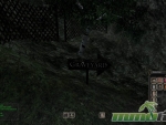 Mortal-Online-graveyard