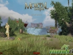 Mortal-Online-montaigne