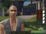 Mortal-Online-presets
