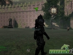 Mortal-Online-tindremic-lector