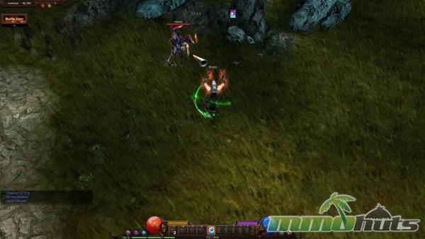 Mu-Online-Attacking-Enemy