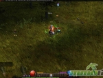 Mu-Online-Combat-Punching