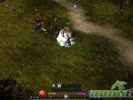 Mu-Online-liches