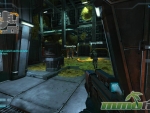 Natural-Selection-2-buy-to-play