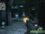 Natural-Selection-2-shooting