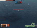 Navy-Field-2-border-warning