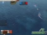 Navy-Field-2-green-lines