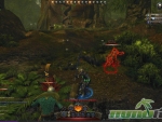 Neverwinter-Forest