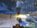 Neverwinter-Lvl-55