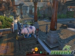 Neverwinter-Mount-Pig
