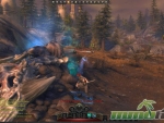 Neverwinter-Newbie