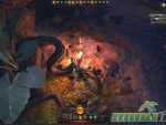 Neverwinter-Spider