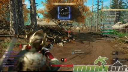 New-World-musket-main-2