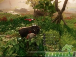 New-World-Black-Boar