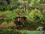 New-World-boar
