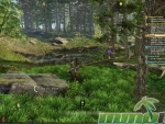 New-World-boulder