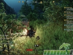 New-World-deep-woods