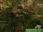 New-World-fighting