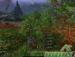 New-World-green