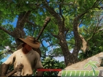 New-World-hat