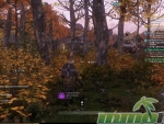New-World-woods