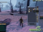 next-island-inventory