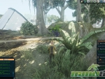 next-island-jungle