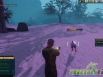 next-island-screecher-puny