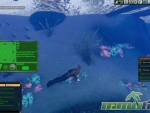 next-island-underwater