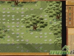 nexus-butterfly-haven